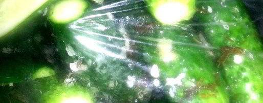 Шаг 11: малосольных огурцов всухую