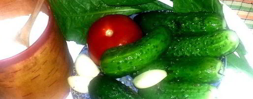 Шаг 13: малосольных огурцов всухую