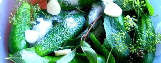 Шаг 14: малосольных огурцов всухую