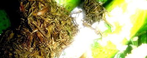 Шаг 6: малосольных огурцов всухую