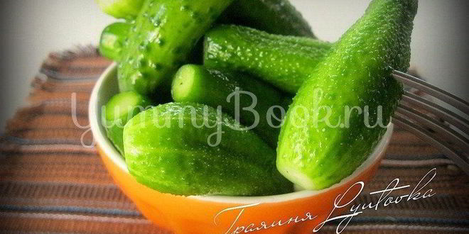 Рецепт малосольных огурцов