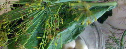 Шаг 1: малосольных огурцов