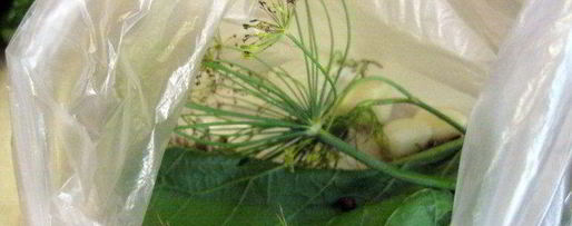 Шаг 2: малосольных огурцов