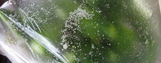 Шаг 5: малосольных огурцов