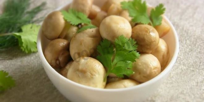 Рецепт малосольных шампиньонов
