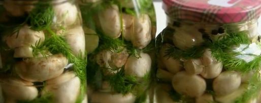 Шаг 5: малосольных шампиньонов