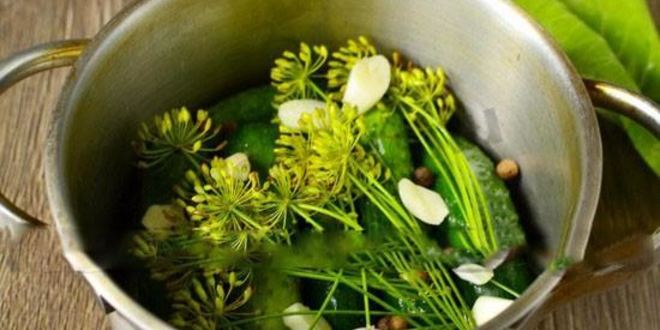 Рецепт огурчиков малосольных