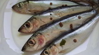 Рецепт Салаки пряного посола