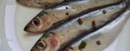 Шаг 3: салаки пряного посола