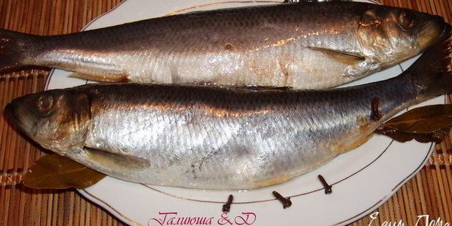 Рецепт сельди домашнего посола