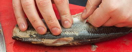 Шаг 2: сельди соленой