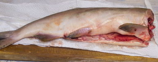 Шаг 1: слабосоленой горбуши под семгу