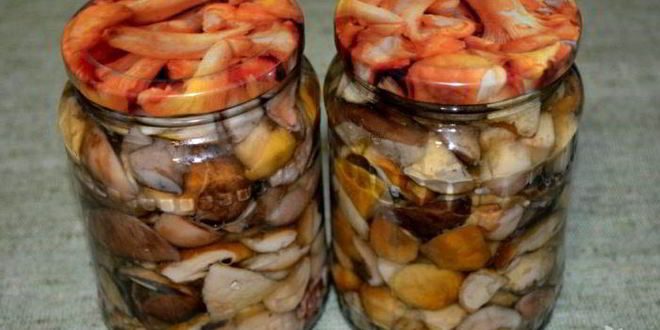 Рецепт соленых белых грибов