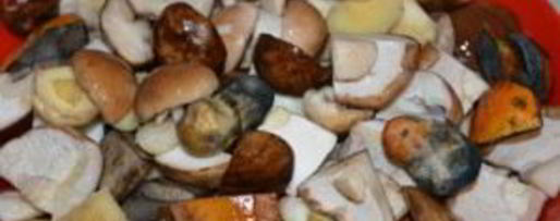 Шаг 1: соленых белых грибов