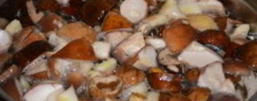 Шаг 2: соленых белых грибов