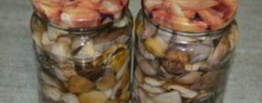 Шаг 6: соленых белых грибов