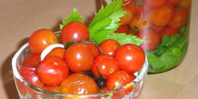 Рецепт соленых помидоров черри