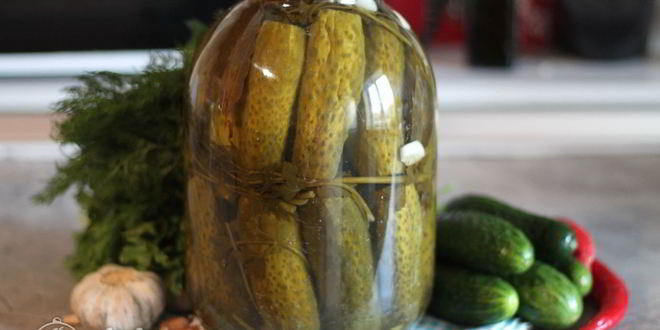 Рецепт соленых огурцов в банке на зиму