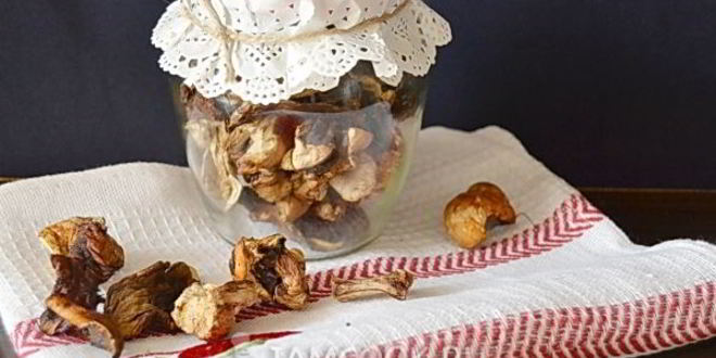 Рецепт сушеных белых грибов