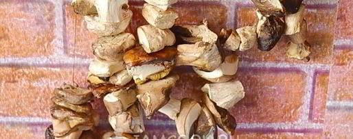 Шаг 6: сушеных белых грибов