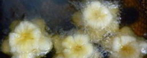 Шаг 2: слоеного теста с вареньем