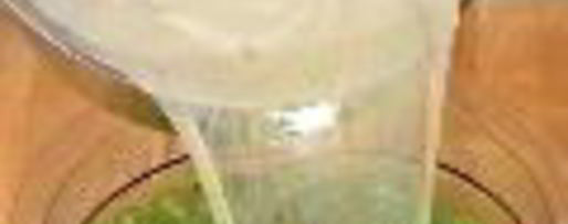 Шаг 3: царского варенья из крыжовника