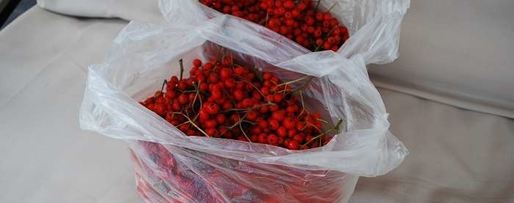 Шаг 1: варенья из красной рябины