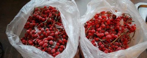 Шаг 2: варенья из красной рябины