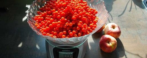 Шаг 3: варенья из красной рябины