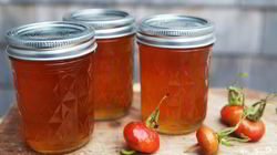 Рецепт Варенья из крупного шиповника