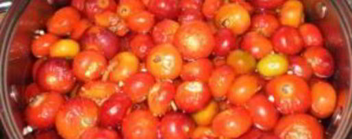 Шаг 1: варенья из крупного шиповника