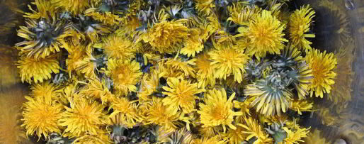 Шаг 2: варенья из одуванчиков