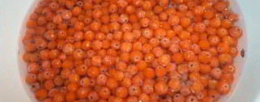 Шаг 1: варенья из рябины на зиму