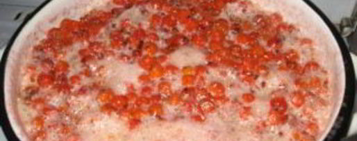 Шаг 1: варенья из садовой рябины