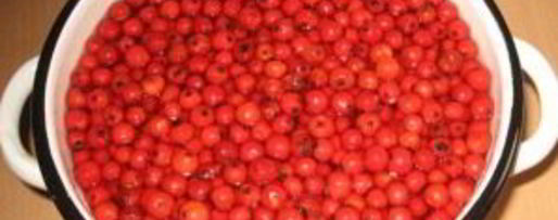 Шаг 2: варенья из садовой рябины