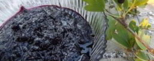 Шаг 5: варенья из смородины перекрученное