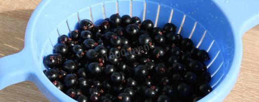 Шаг 1: варенья желе из черной смородины на зиму