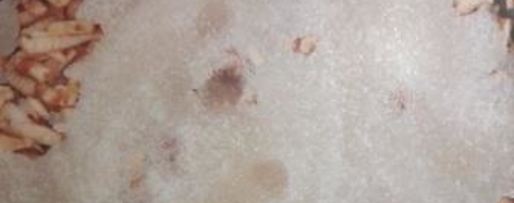 Шаг 2: яблочного варенья