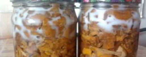 Шаг 2: заготовки лисичек на зиму