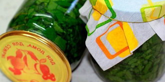 Рецепт заготовки щавеля на зиму