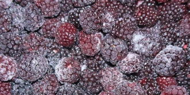 Рецепт заготовок из ежевики