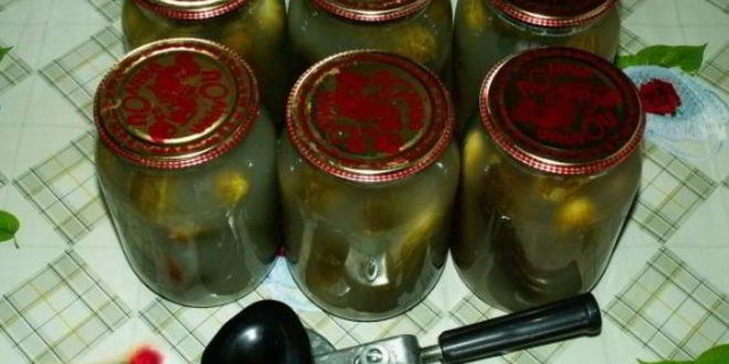 Рецепт закатки соленых огурцов на зиму