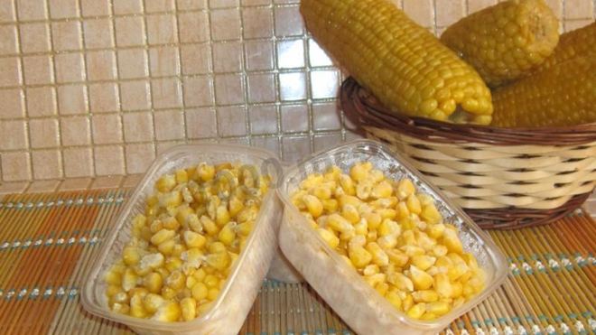Рецепт Заморозити кукурузу на зиму в початках и зернах