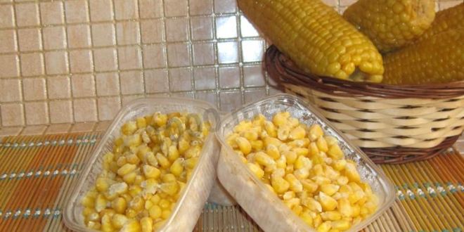 Рецепт заморозити кукурузу на зиму в початках и зернах
