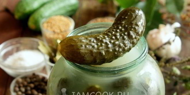 Рецепт засолки хрустящих огурцов на зиму