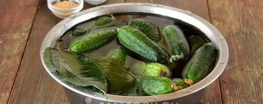 Шаг 3: засолки хрустящих огурцов на зиму