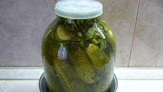 Рецепт Засолки огурцов в банках