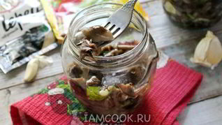 Рецепт Засолки опят на зиму горячим способом в банках