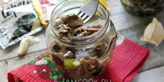 Рецепт засолки опят на зиму горячим способом в банках