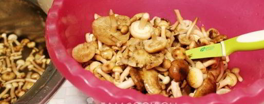 Шаг 4: засолки опят на зиму горячим способом в банках